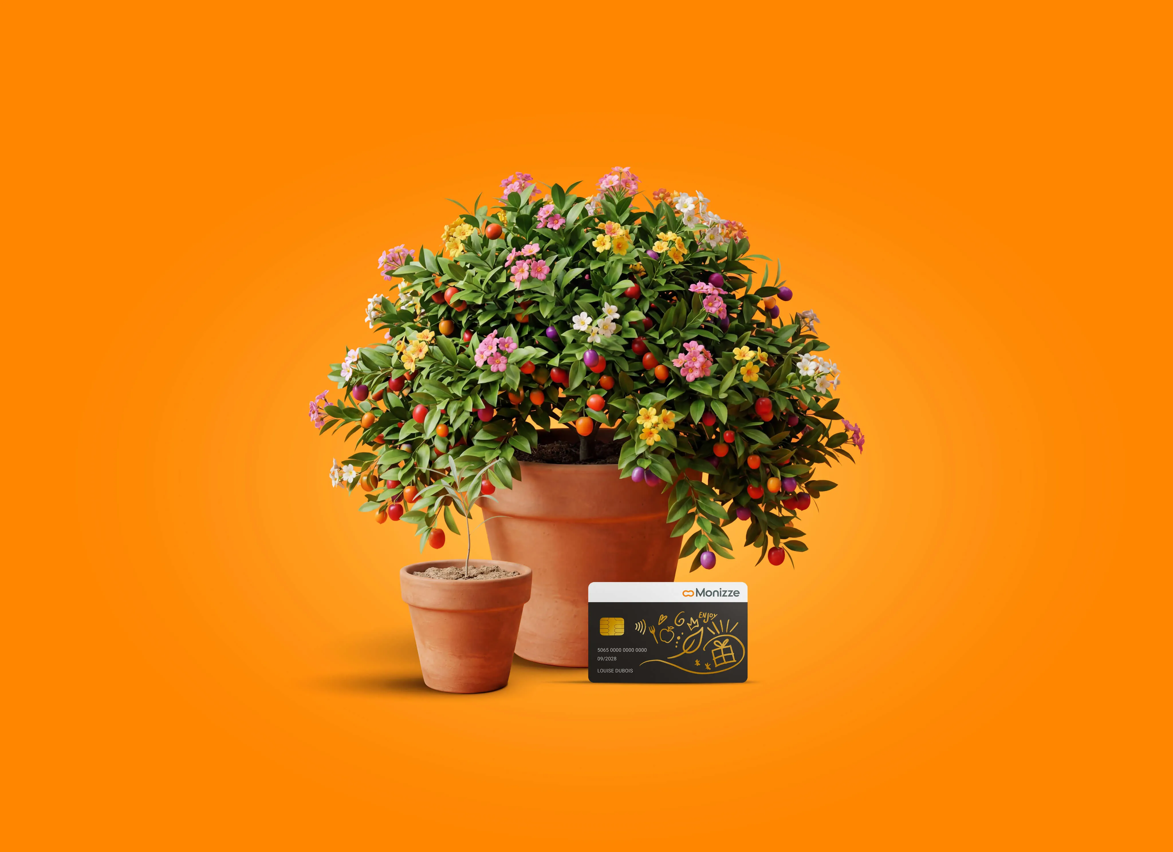 Farmer couple holding apples in an orchard