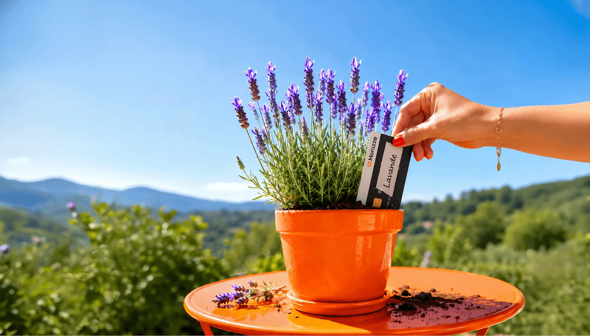 Een Monizze-kaart als labeltje in een pot lavendel