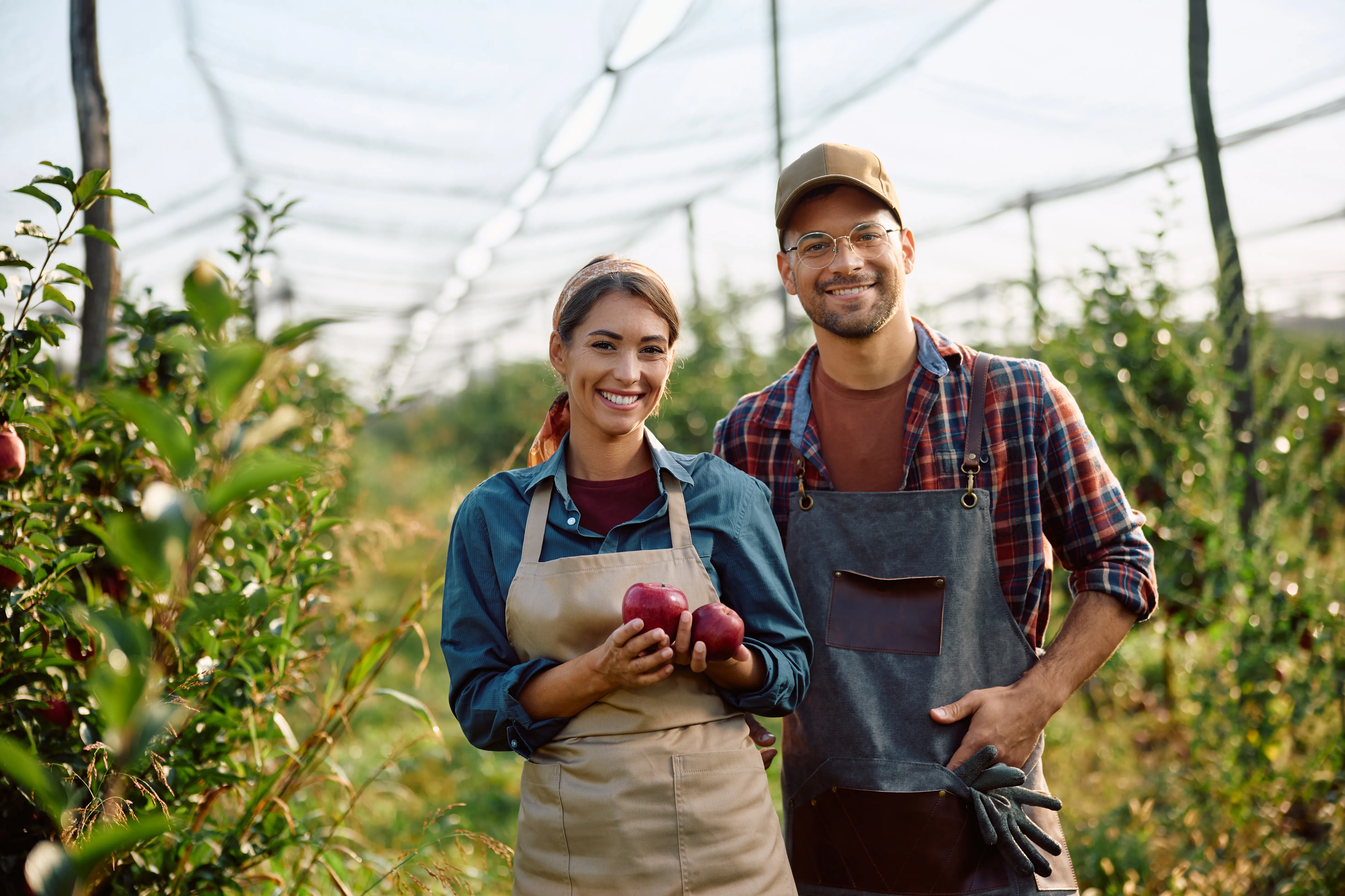 Couple of farmers holding apples in an orchard