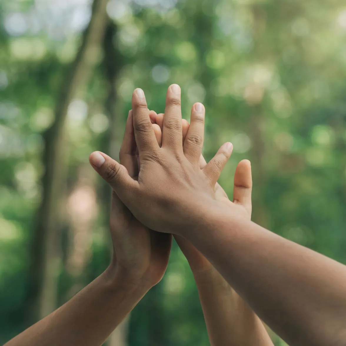 Monizze team at the office